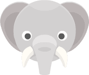 Elefante che entra nella parata